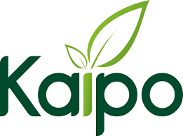 Accenture - Consulting partner